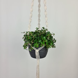 Plant Hanger Triple String Pattern | Cotton | Wooden ring | Hanging Decoration | Handmade | Boho | Flower Hanger