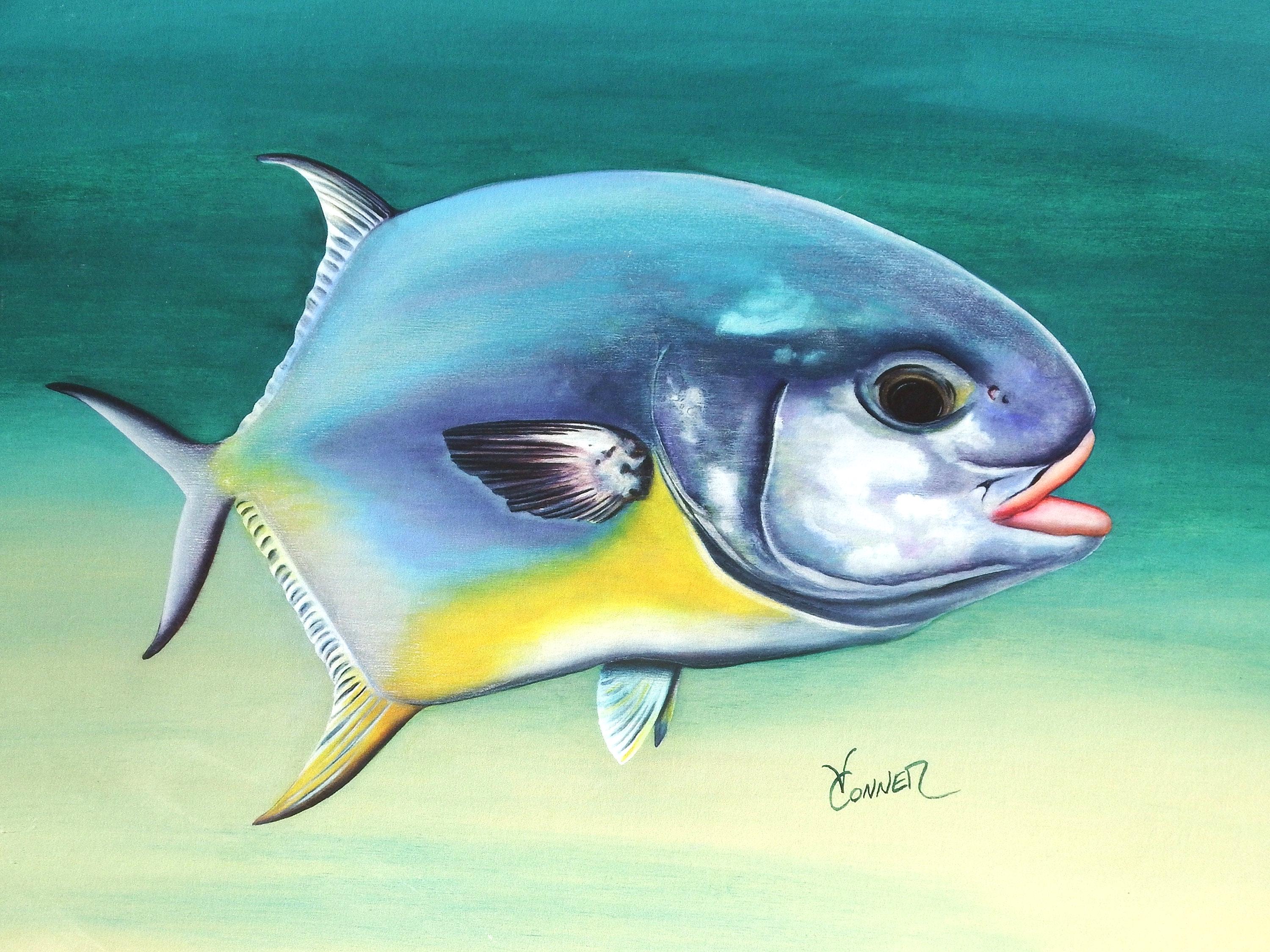 Colorful Acrylic Ocean Permit Fish Sticker, Waterbottle Sticker, Cooler ...