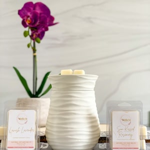 2 Soy Wax Melt Packs & Harmony Electric Wax Warmer Bundle | Choose Your Scents | Home Fragrance Gift Set