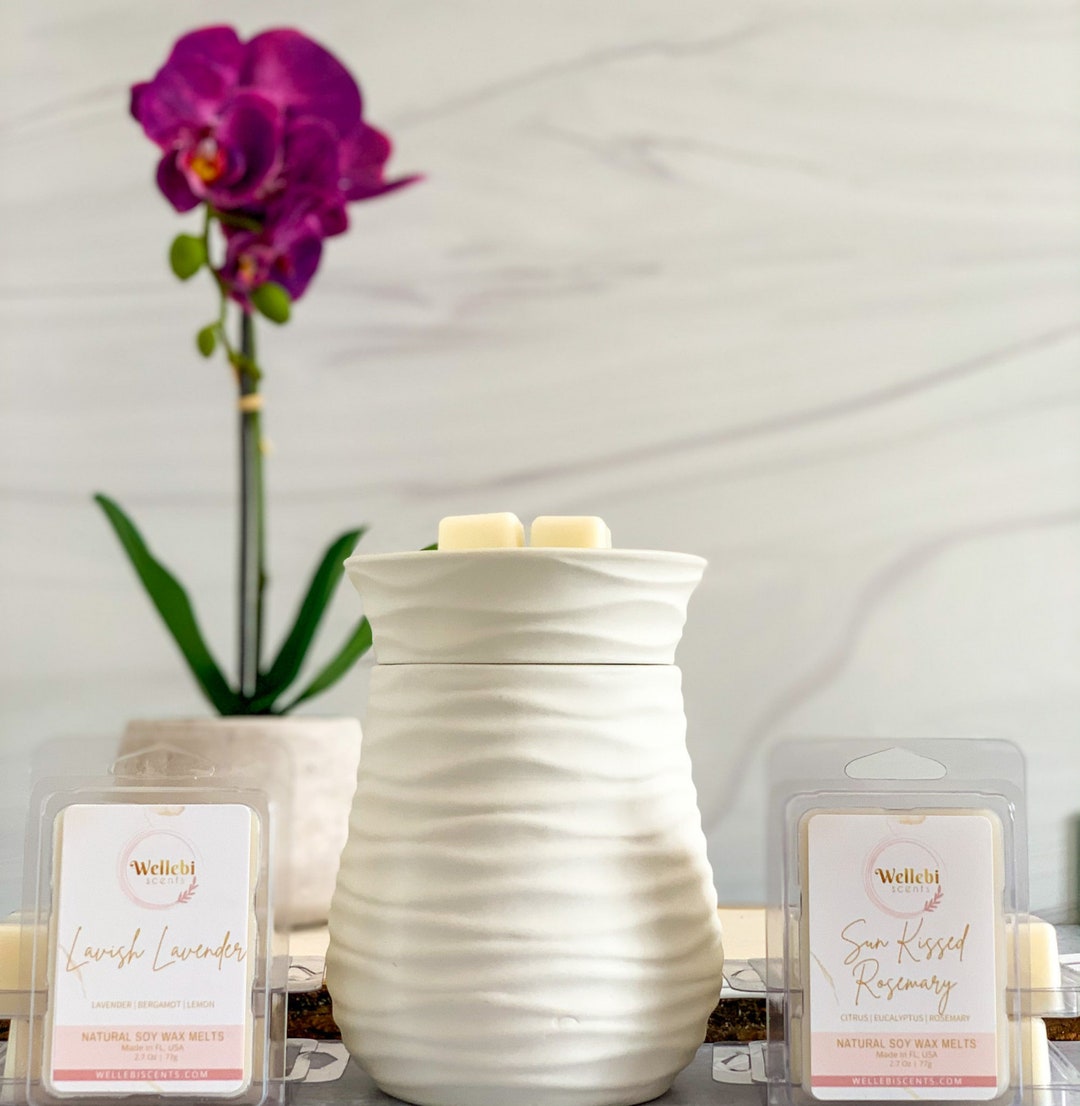 2 Soy Wax Melts & Harmony Wax Tart Electric Warmer Gift Bundle Etsy