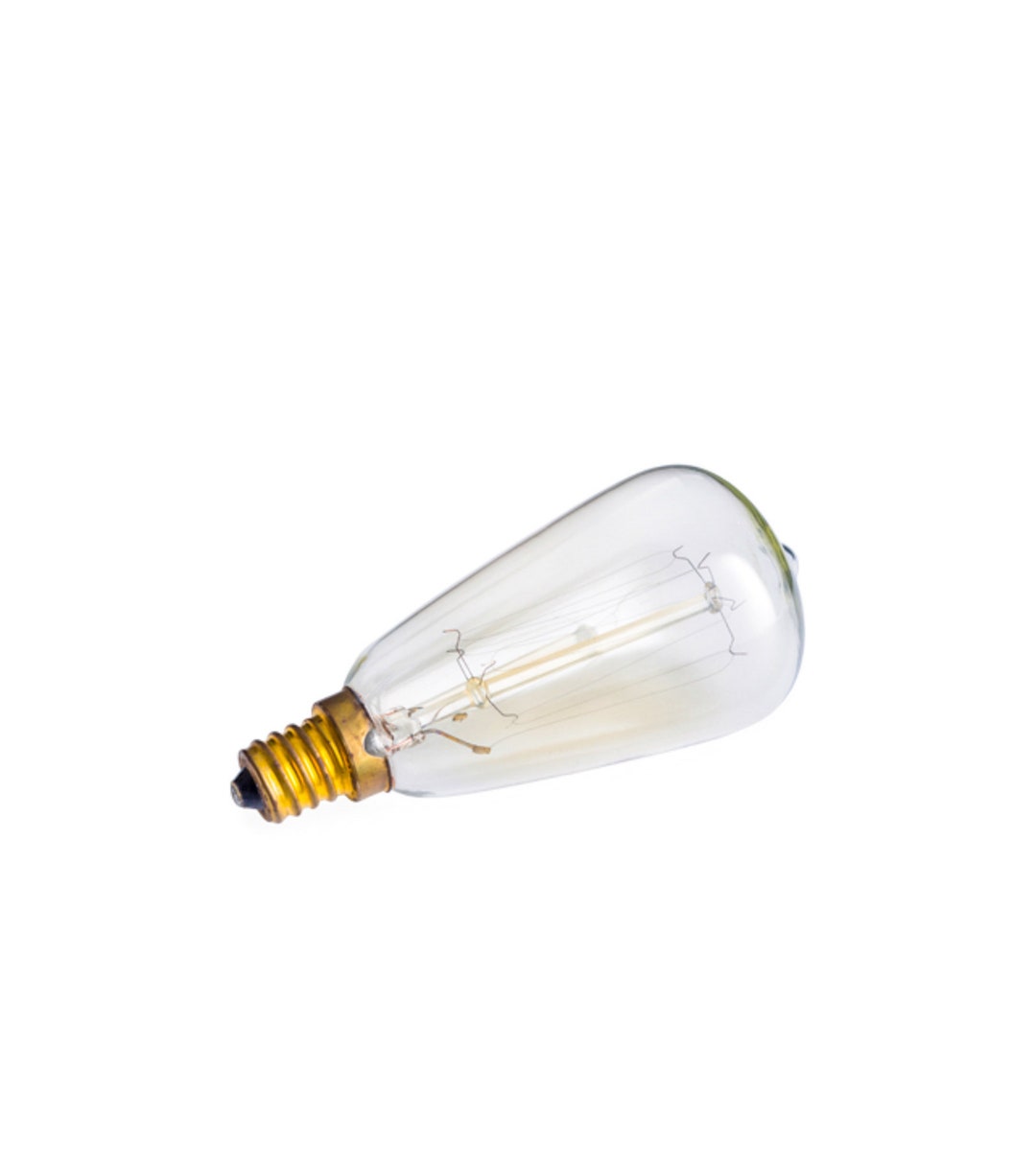 Wax Warmer Bulb Replacement Bulb for Electric Wax Warmer Edison Bulb