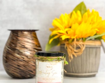 Wellebiscents Wax Melts Minis Gift Box | Soy Wax Melts| Scents for Home & Office | Scented Wax Melts | Spring Summer Fall Winter Scents