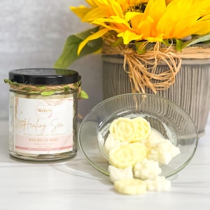 Wellebiscents Wax Melts Minis | Highly Scented Soy Wax Melts| Aromatherapy Scents | Flameless Candle | Seasonal Scents | Odor Eliminator