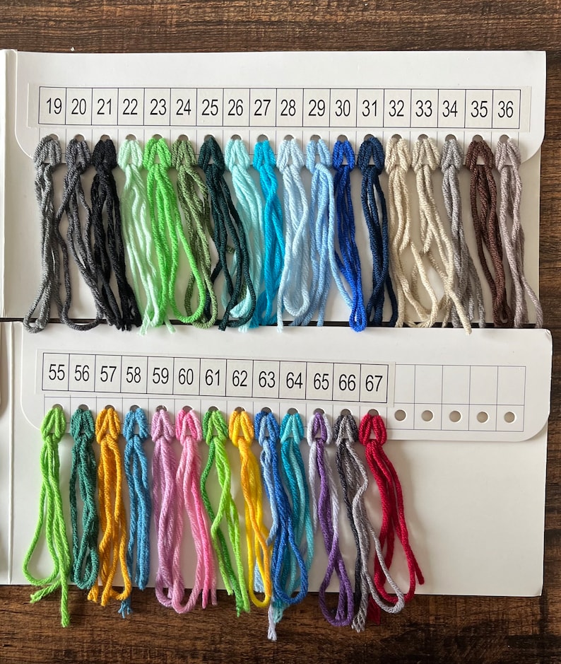 Pu&ograve; includere: Una cartella colori con campioni di filato numerati da 19 a 36 e da 55 a 67. I campioni di filato sono disposti in file e sono di vari colori, tra cui nero, verde, blu, rosso e giallo.