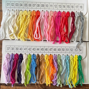 Pu&ograve; includere: Una cartella colori con 54 diverse tonalit&agrave; di filo da ricamo. Il filo &egrave; organizzato in righe con i numeri 01-18 e 37-54.