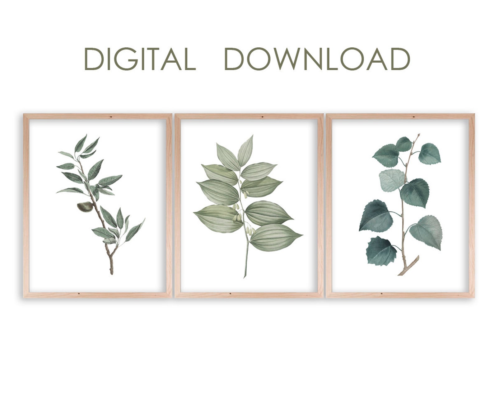 Green wall decor Digital download Set of 3 botanical prints Etsy