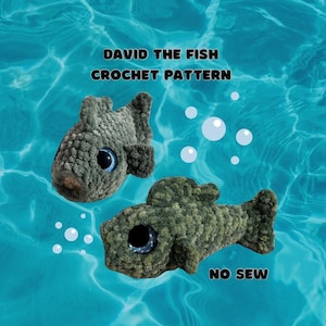 May include: Two crocheted fish toys in a blue water background. The fish are green and gray with large blue eyes. The text "DAVID THE FISH CROCHET PATTERN NO SEW" is on the image.