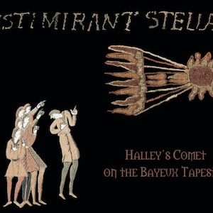 Digital download - iPad backgrounds - Halley&#39;s Comet on the Bayeux Tapestry - embroidery medieval download ipad iphone screensaver wallpaper