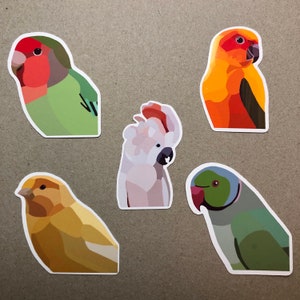 Adesivos de pássaros brilhantes | FRETE GRÁTIS