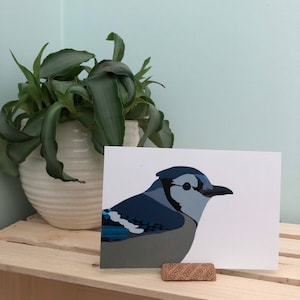 Impression d'oiseau Bluejay | LIVRAISON GRATUITE