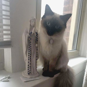 Peut inclure: Une figurine en porcelaine blanche d'une femme portant une longue robe et tenant un chapelet. Un chat siamois aux yeux bleus est assis sur un rebord de fen&ecirc;tre derri&egrave;re la figurine.