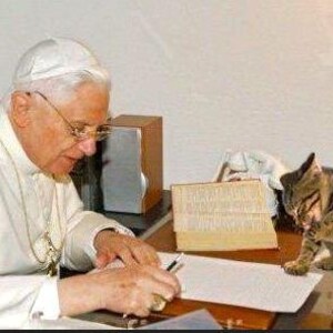 Pope Benedict XVI sitting at his desk working, with his tabby cat cleaning his paws.