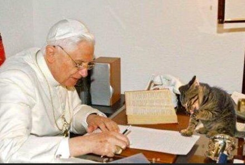 Pope Benedict XVI sitting at his desk working, with his tabby cat cleaning his paws.