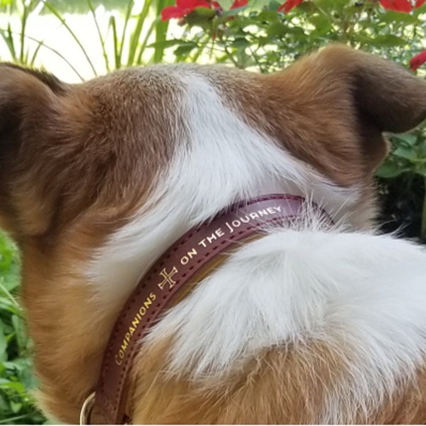 Deluxe Handcrafted Leather Dog Collar