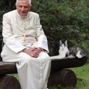 Pope Benedict sitting on bench in a garden with his cat.