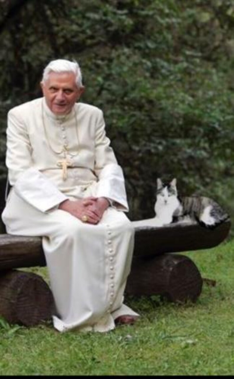 Pope Benedict sitting on bench in a garden with his cat.