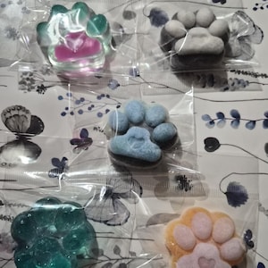 Tiny Paw Pad Taba Squishy
