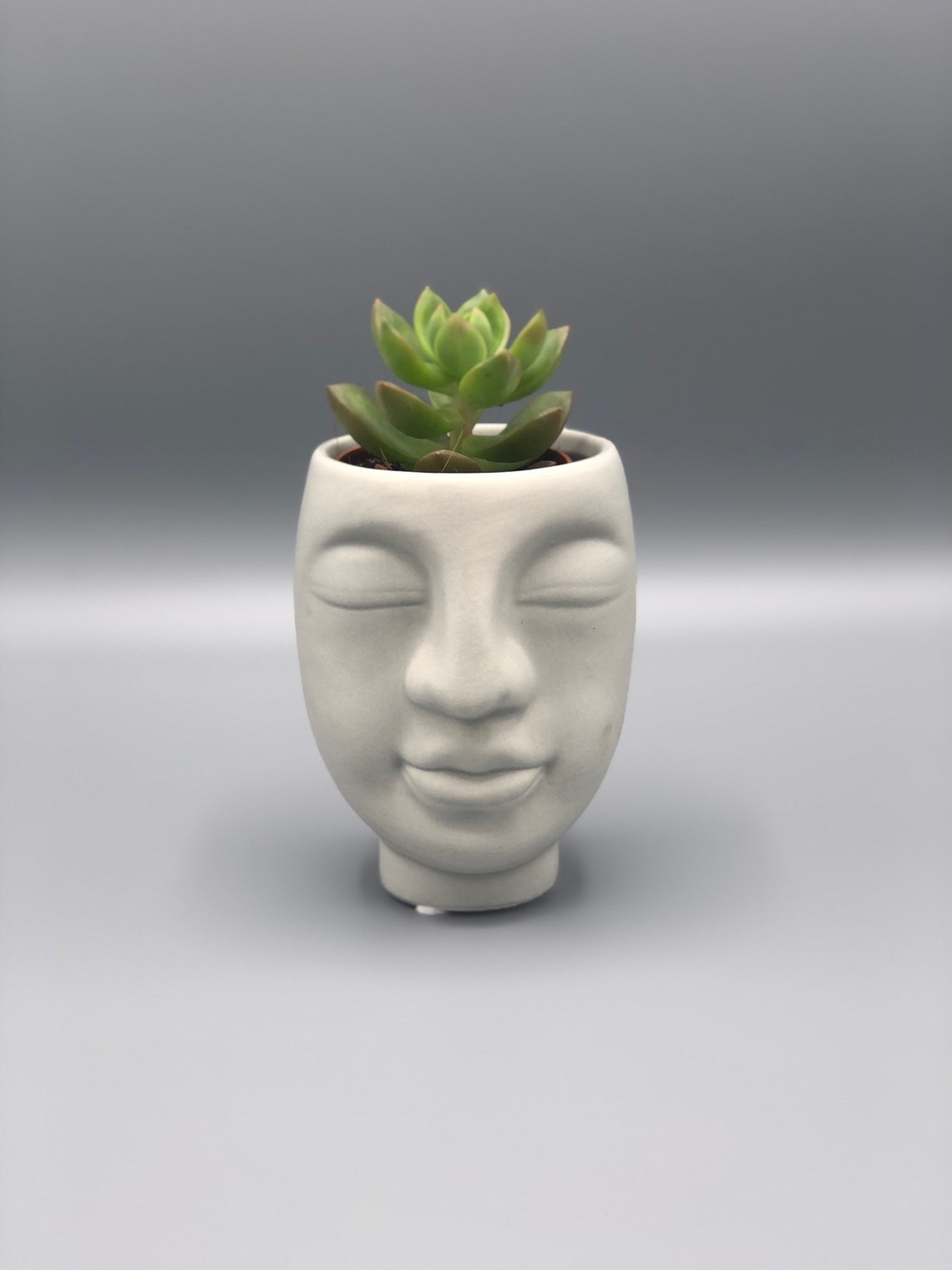 Face Plant Pot / Face Planter / Stone / Bronze / Silver / Etsy UK