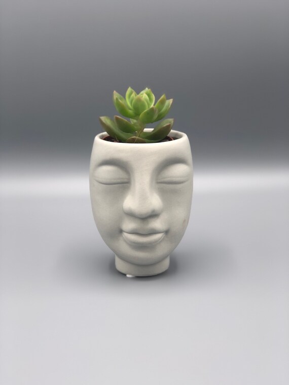 Face pot plant deals