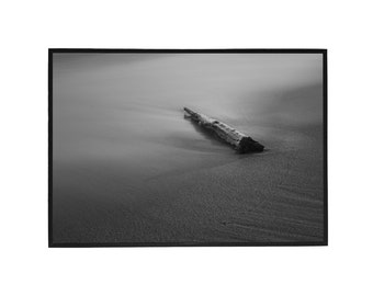 Beach Wood Black and White Print - Still-Life Photography - Long Exposure