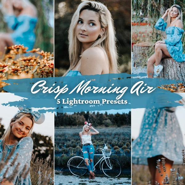 Crisp Morning Air - 5 Lightroom Presets