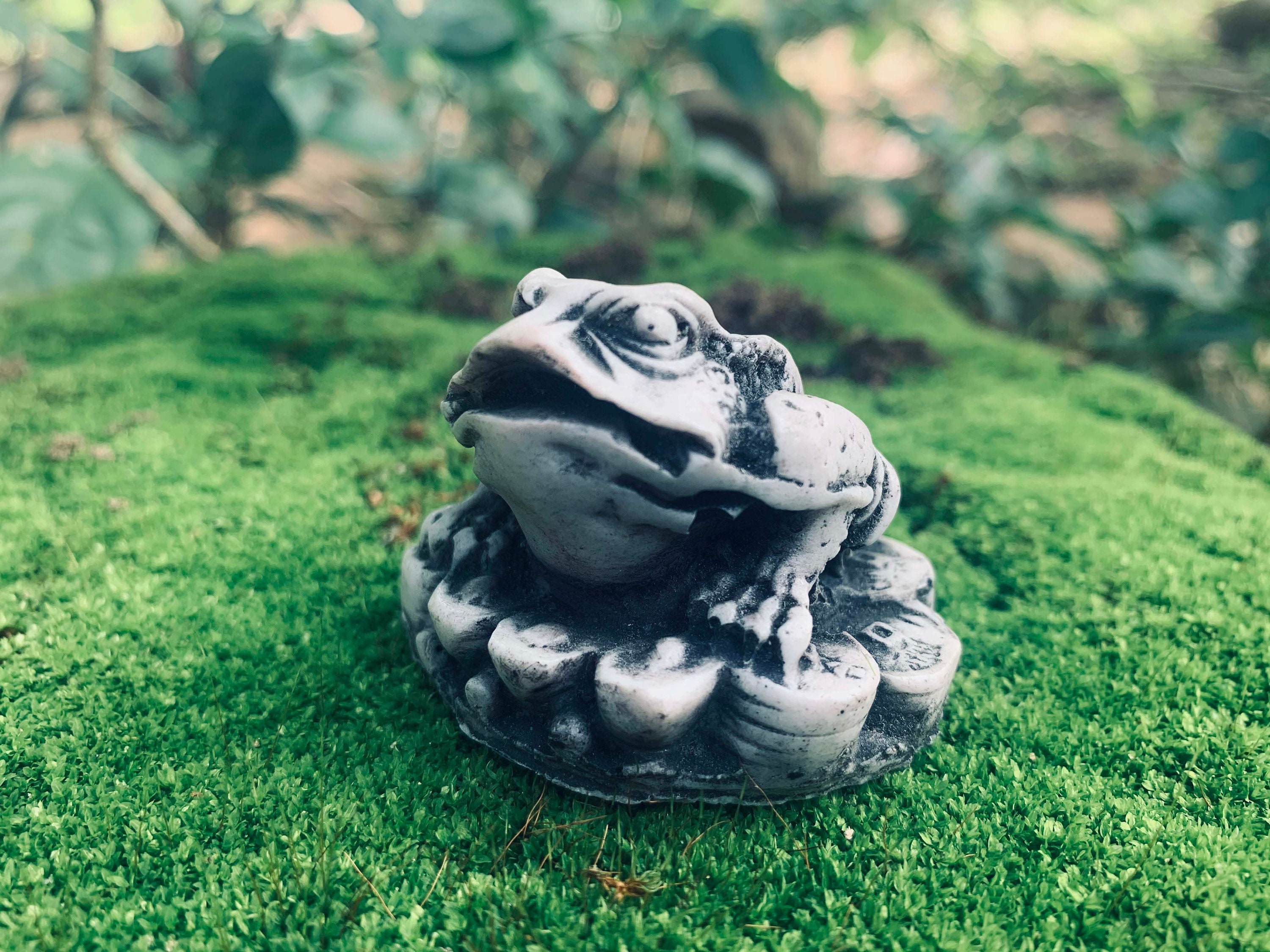 Cast Iron Frog Cast Iron Toad Pond and Garden Decoration Gift Idea