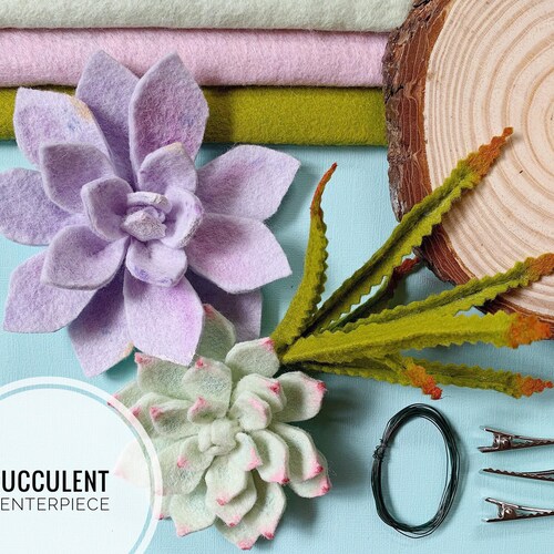 Needle Felting Kit. Succulent Kit. Succulent. Felt Craft Kit. Etsy