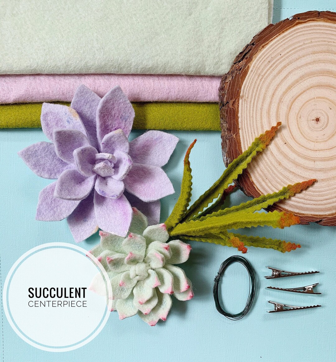 Felt Succulent Kit Etsy