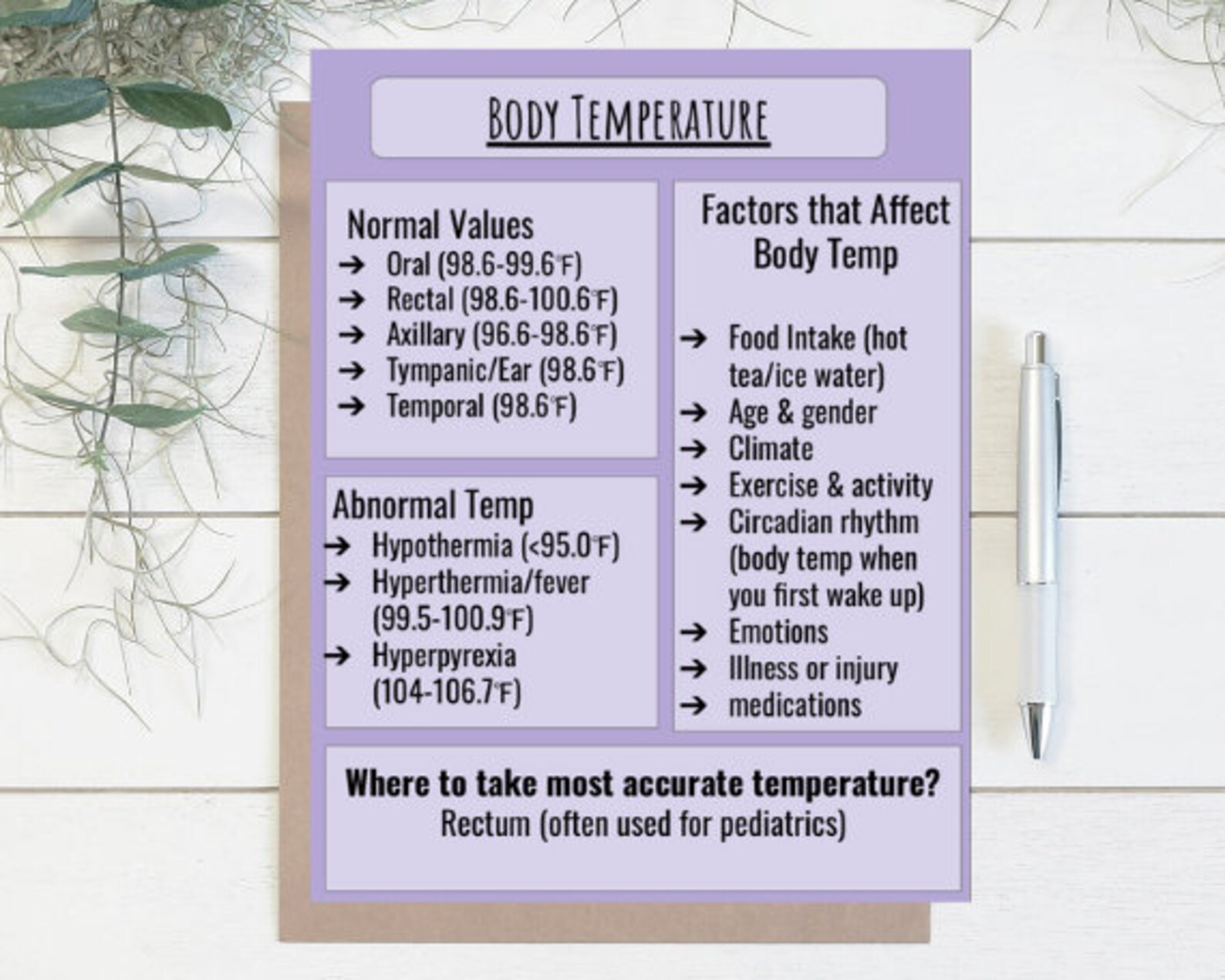 Vital Signs Study Guide for Nursing Students Etsy
