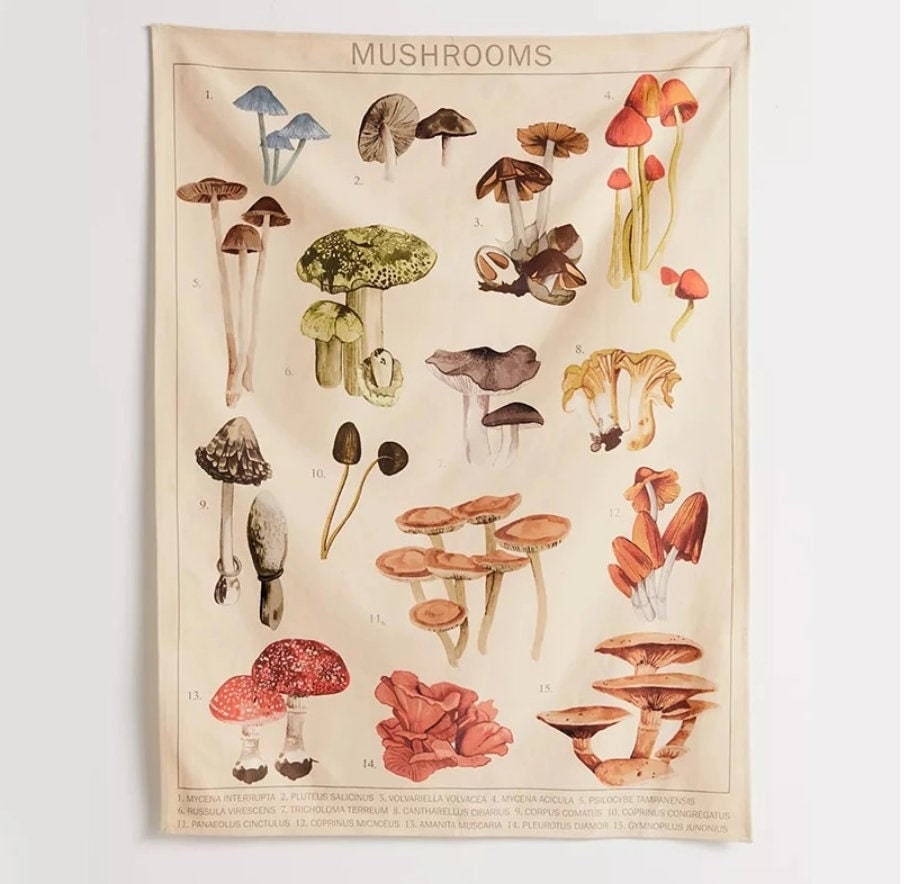 Mushroom Tapestry | Wall Hanging | Mushroom Reference Chart | Hippie …