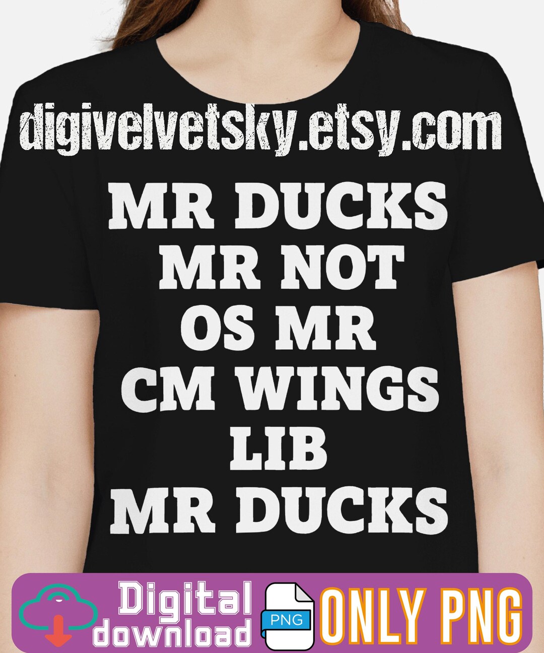 M R Ducks Riddle Picture Funny MR M R Ducks PNG: Waterfowl Pun (digital Download) - Etsy