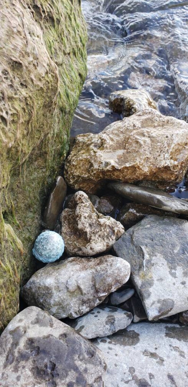 Seafoam Grüne Spirale Shell Geocache | Etsy