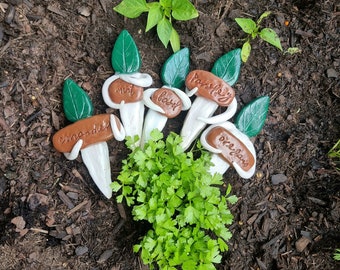 Customised Handmade Little Sprout People - Vegetable, Herb & Plant Stakes for the Garden