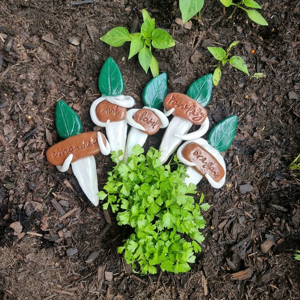 Customised Handmade Little Sprout People - Vegetable, Herb & Plant Stakes for the Garden