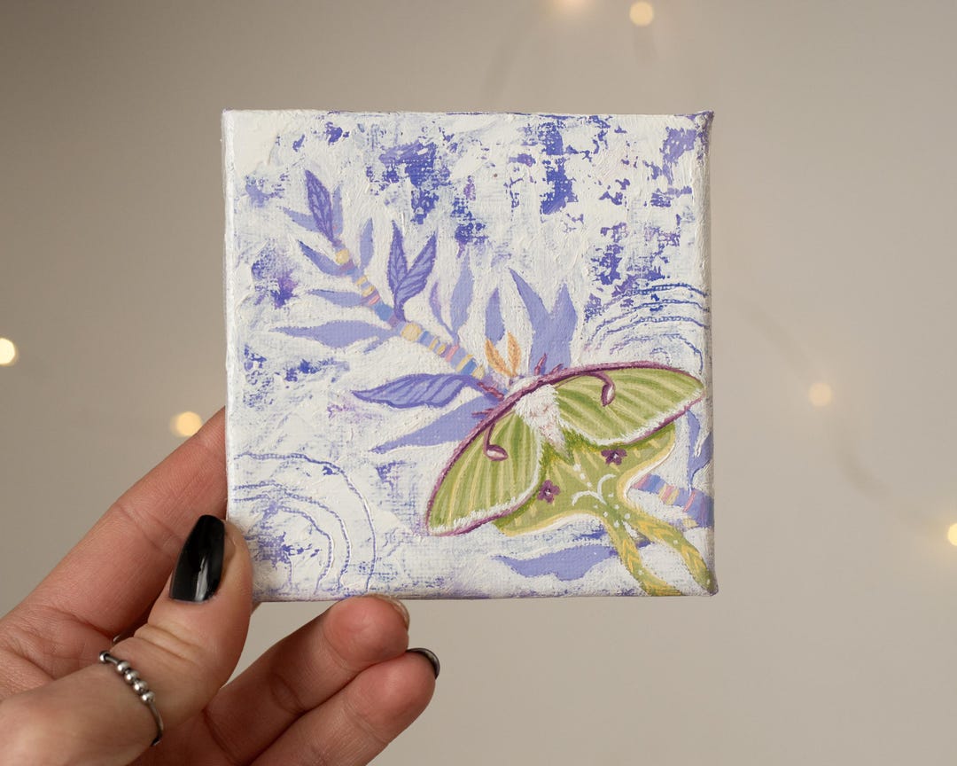 Mini Luna Moth Oil Painting on Canvas, Whimsical Nature Wall Art - Etsy
