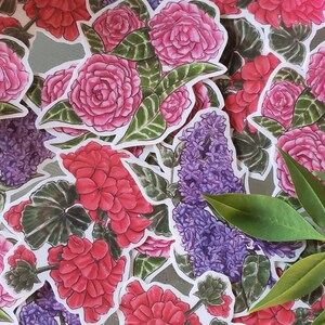 Botanic Panic Vol.1 Stickers aquarelle lilas, camélia et géranium, à l'unité et lot
