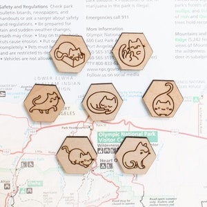 Cat Magnets - Set of 7 Small, Strong Magnets