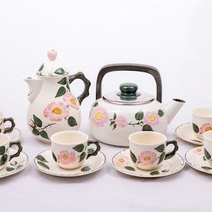 Wild-Rose - By Villeroy & Boch - Jugendstil art nouveau - Vintage coffee tea set serving- Made in W. Germany GDR SAAR - From the &#39;60s