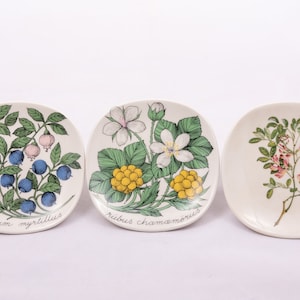 Puede incluir: Tres platos de cerámica blanca con ilustraciones botánicas. Los platos muestran un arbusto de arándanos, un arbusto de cloudberries y una planta con flores. Los platos están etiquetados con los nombres científicos de las plantas.