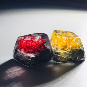 Corals Marine Keycaps, SA R4 Best Personalized Mechanical Keycaps , Artisan Dye-Sublimation Creative Handmade  PBT Resin Key cap