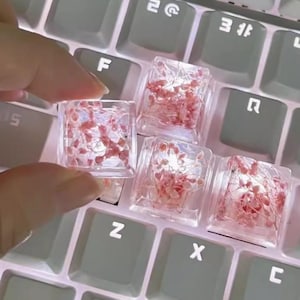 Könnte beinhalten: Klare, quadratische Tastenkappen mit getrockneten rosa Blüten werden über einer Tastatur gehalten. Die Tastenkappen sind transparent. Die Tastaturtasten sind hellgrau.