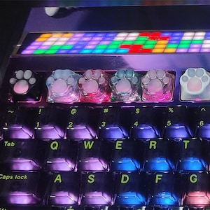 May include: A black mechanical keyboard with rainbow LED lighting. The keyboard has custom keycaps with paw prints and other designs. The keyboard also has a sticker that says "ONE PIECE".