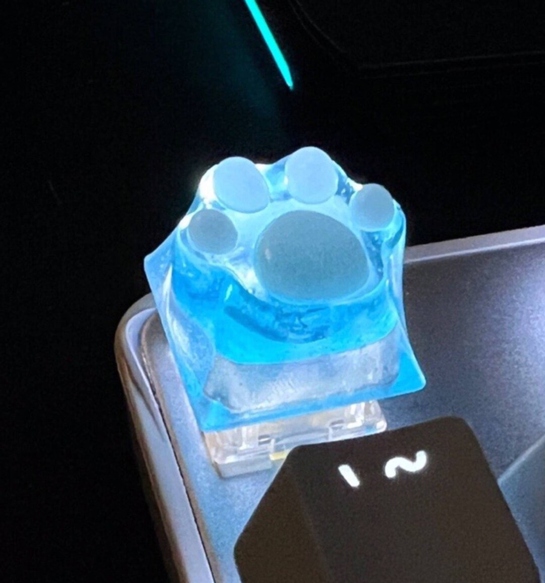 Blue Cat Footprints Resin Keyboard Keycaps Fully Transparent Etsy
