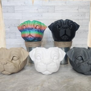 May include: Five pug-shaped planters in different colors. The planters are made of ceramic and have a realistic pug face design. The colors include rainbow, black, white, brown, and gray.