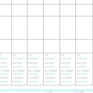 May include: A printable meal planner with sections for Snack 2, Dinner, and Dessert. Each section has columns for Fat, Protein, Net Carbs, and Calories.