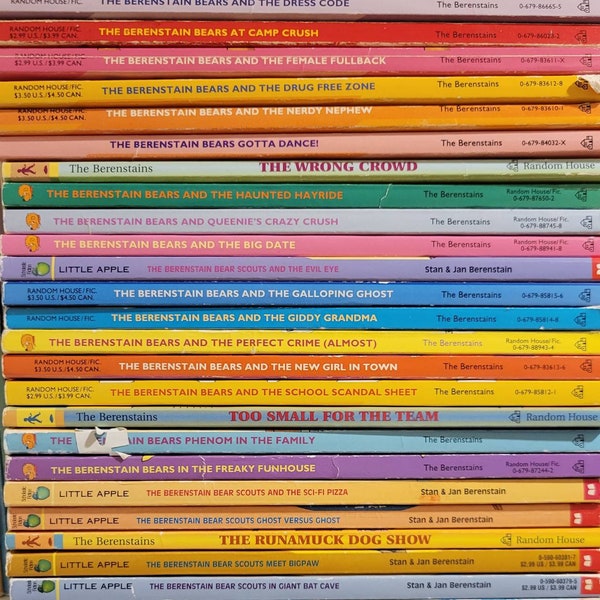 The Berenstain Bears Chapter Books / Your Choice / 1980s;90s / Vintage Books / by Stan & Jan Berenstain