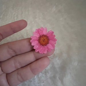 DAISY Pressed Flower Resin Crafts For DIY Art Jewelry Making 12pcs Dried Daisy Flowers