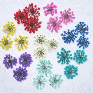 LACE Dried Lace Flower For Resin Art Nail Art (12pcs /pack)