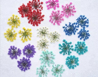 LACE Dried Lace Flower For Resin Art Nail Art (12pcs /pack)