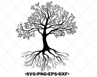 Download Tree Of Life Svg Etsy